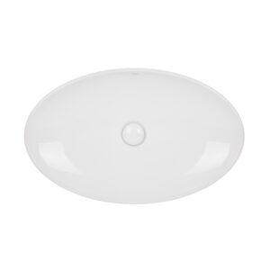 Раковина-чаша Qtap Dove 680х420х120 White с донным клапаном QT0611K160W