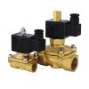 Клапан соленоїдний AquaWorld/Hydronord NC 2W250-25-S 220В норм. закрит 16396